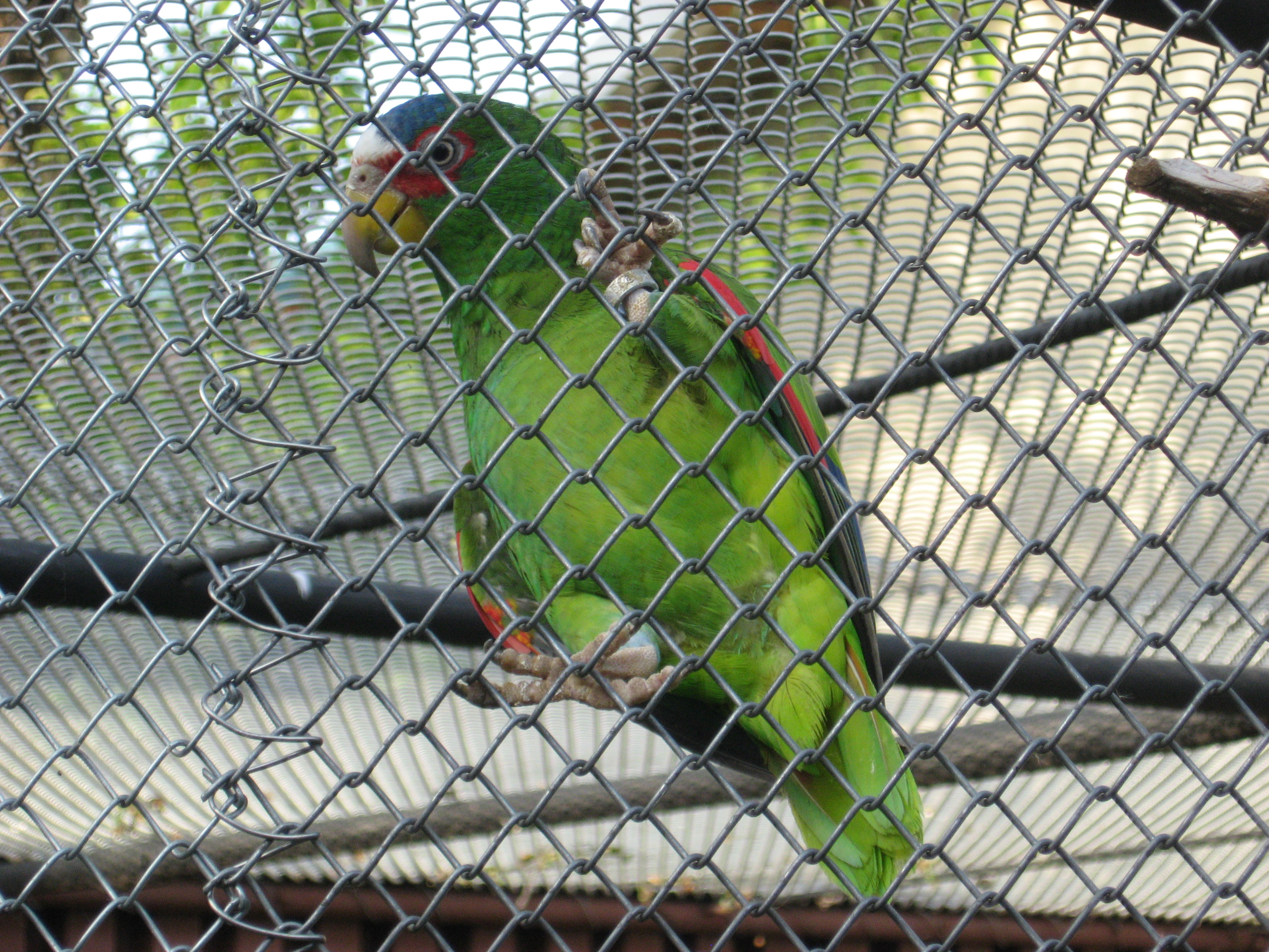IMG_2248.JPG